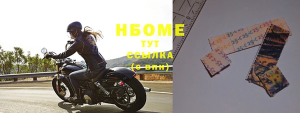 хмурый Надым