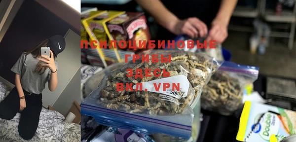 хмурый Надым