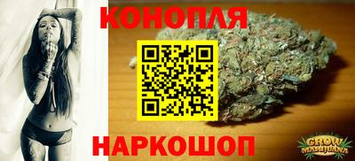 шишки Изобильный