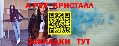 шишки Изобильный