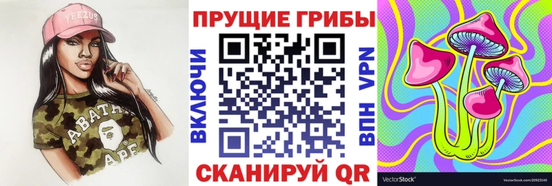 Псилоцибиновые грибы GOLDEN TEACHER  Клинцы 