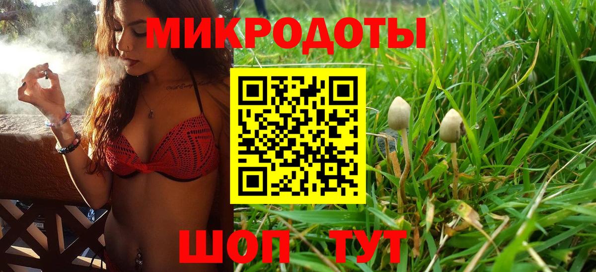 Клинцы  купить наркотики цена  Вход с VPN  Псилоцибиновые грибы мицелий 