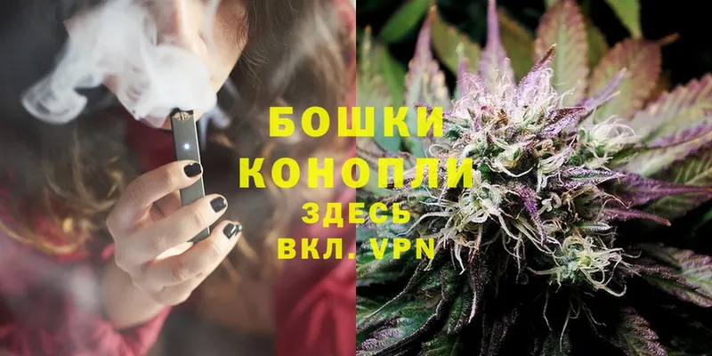 Конопля Bruce Banner  Клинцы 